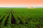 Crop production is concentrated in California and the Midwest