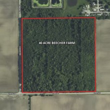 40 Ac Beecher Wooded Estate Site