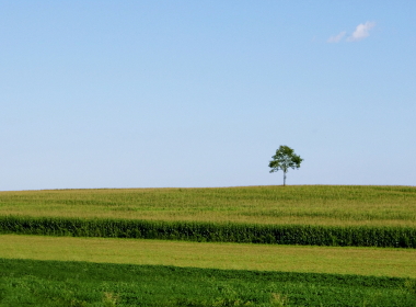 Goodwin & Associates Real Estate, LLC Buyer Services for Illinois farm, commercial, development, residential real estate sales