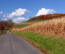 Goodwin & Associates Real Estate Illinois Real Estate Services Offered