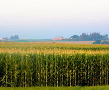 Goodwin & Associates Real Estate, LLC IllinoisReal Estate Land Investment