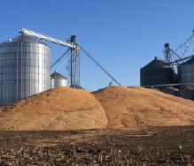 Goodwin & Associates Real Estate, LLC Illinois FAQs (questions)