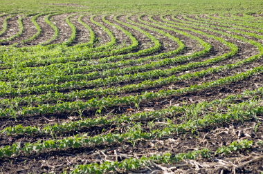 Goodwin & Associates Real Estate, LLC Marketing for Illinois farm, commercial, development, residential real estate