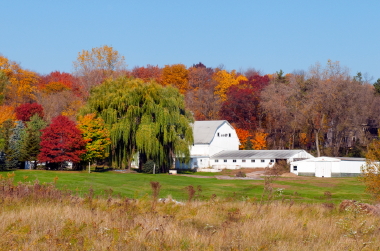 Goodwin & Associates Real Estate, LLC Buyer Services for Illinois farm, commercial, development, residential real estate purchases