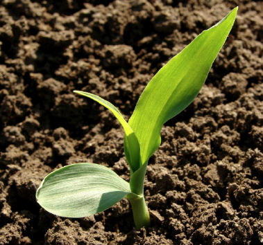 Helpfull Links on farm, commercial, development, residential land Illinois Real Estate