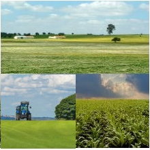 View All Available Properties