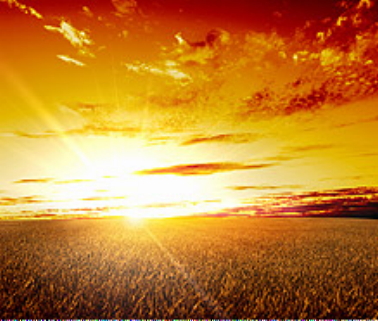 Goodwin & Associates Real Estate Seller Services for Illinois farm, commercial, development, residential real estate